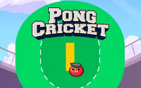 Paddle Cricket Reflex Challenge