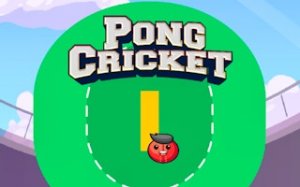 Paddle Cricket Reflex Challenge