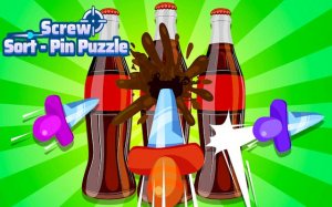 Screw Sort Pin Puzzle