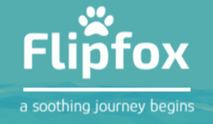 Flipfox Memory Puzzle Game