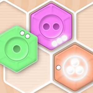 Hex Fit Logic Puzzle
